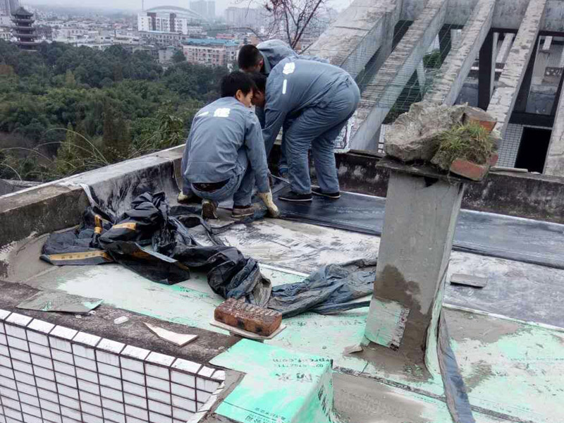 屋頂漏水處理公司哪家好,聯系電話,屋