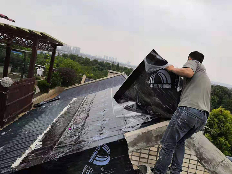 農村平房屋頂漏雨維修，用哪種方法較為