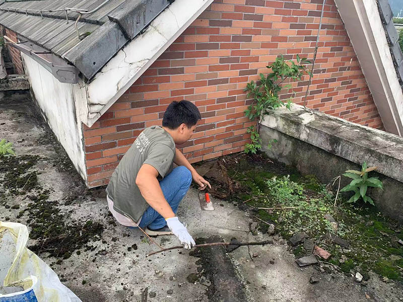 樓頂花園改造臥室效果怎樣？